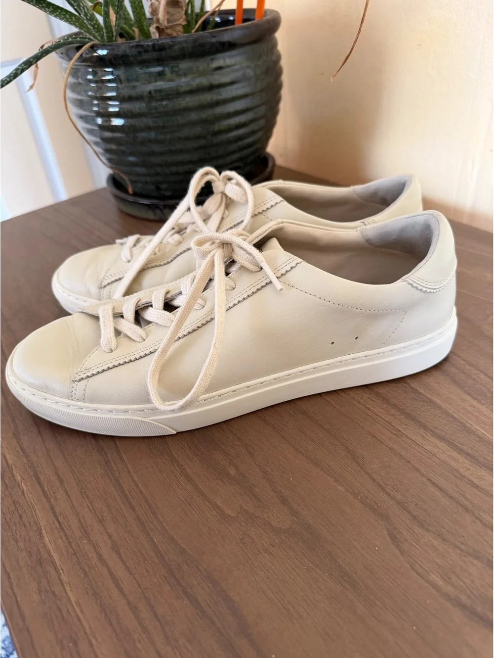 Everlane classic leather